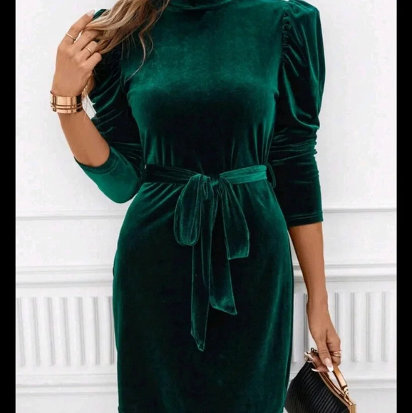 Neck Puff Sleeve Belted Velvet Dress - Picture 5 of 5